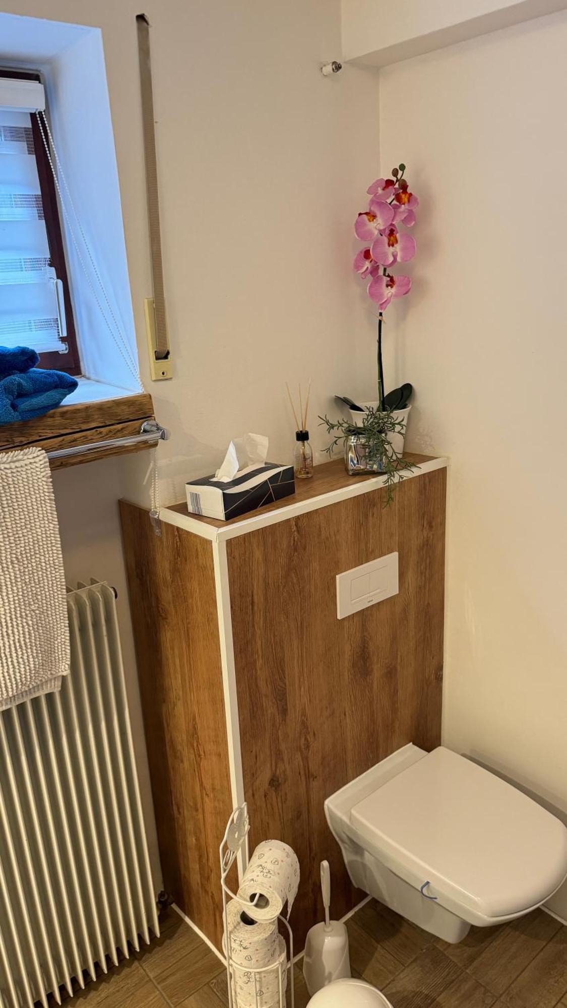Ferienwohnung Pfister-Straub Bad Kissingen Luaran gambar